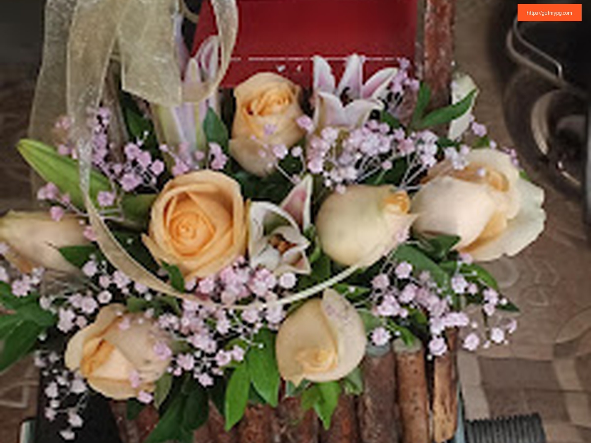 Colive Franny Pg exterior